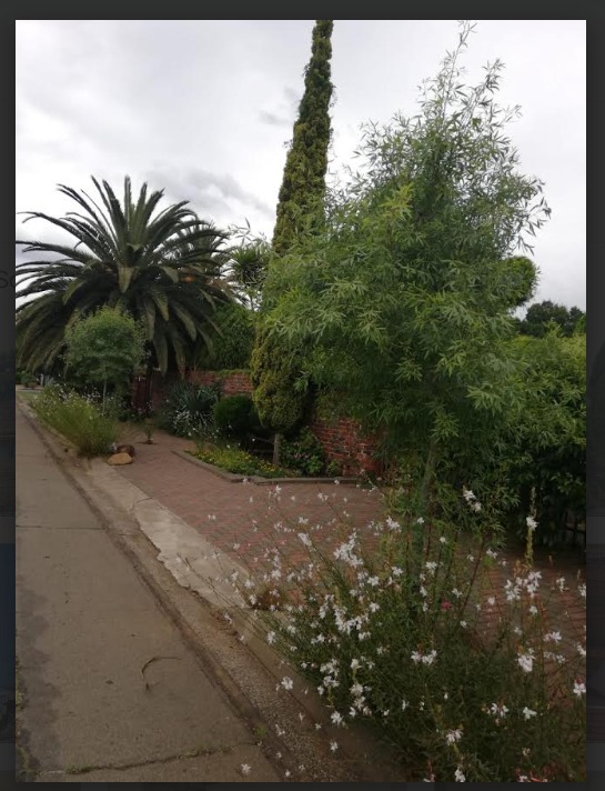 To Let  Bedroom Property for Rent in Fichardt Park Free State